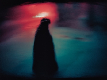 Unfocused picture of a woman's silhouette at night with a smudgy background