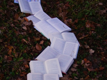 Open books making a path on the grass