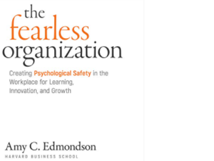 The Fearless Organization Book Cover